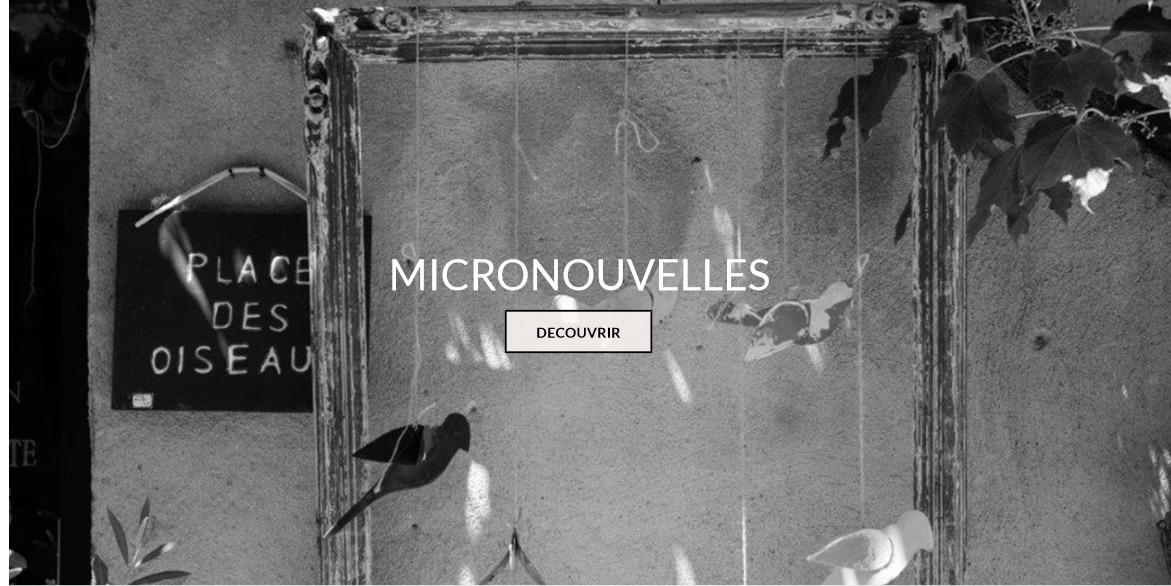 Micronouvelles